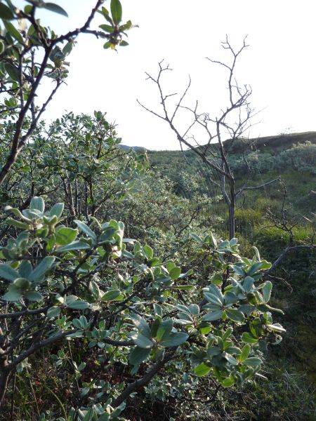 2010-08-06-0706_-_-_2