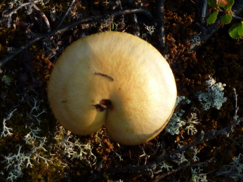 2010-08-06-0719_-_-