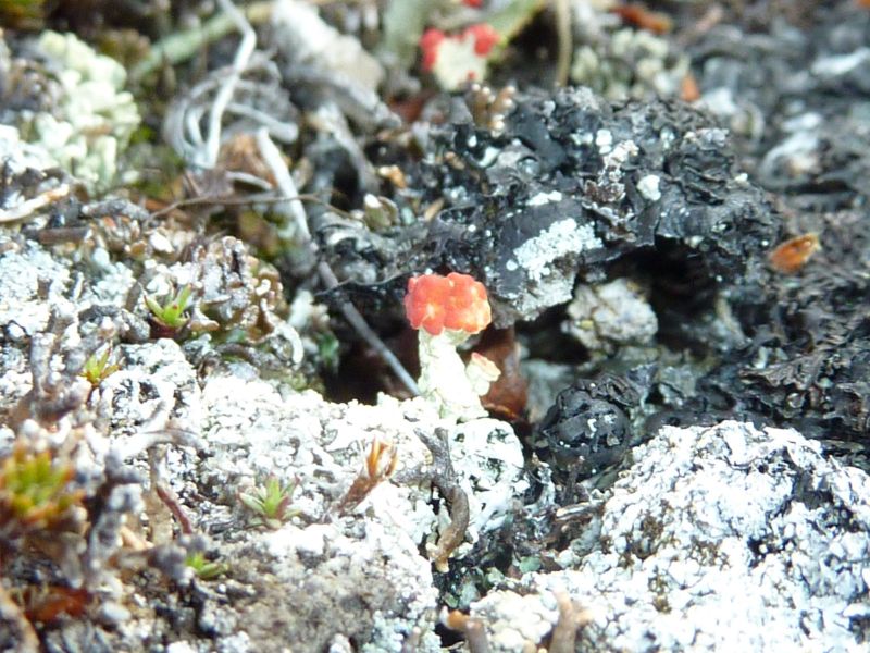 2010-08-06-0751_-_-_2