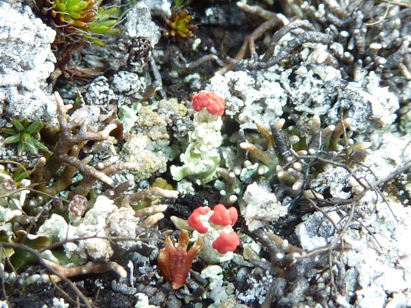2010-08-06-0751_-_-_3