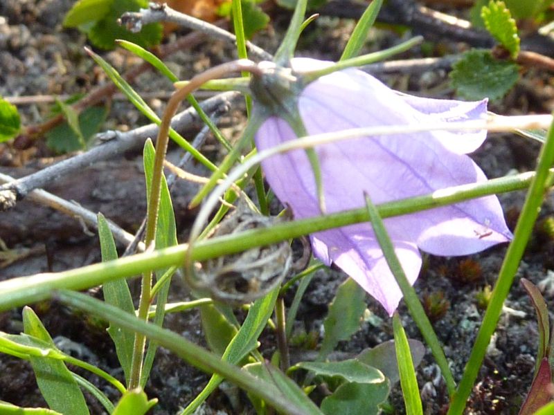 2010-08-06-0755_-_-
