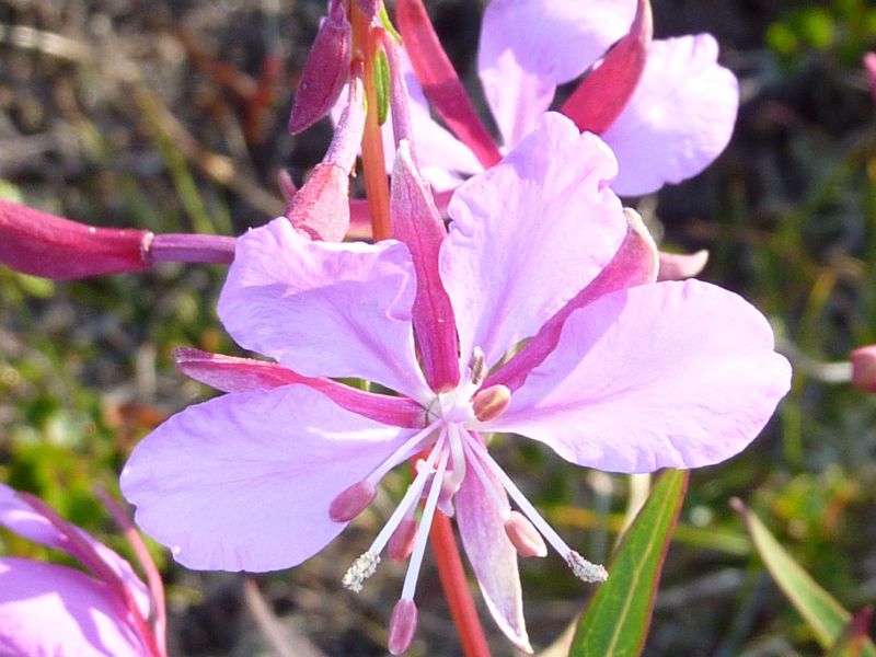 2010-08-06-0943_-_-