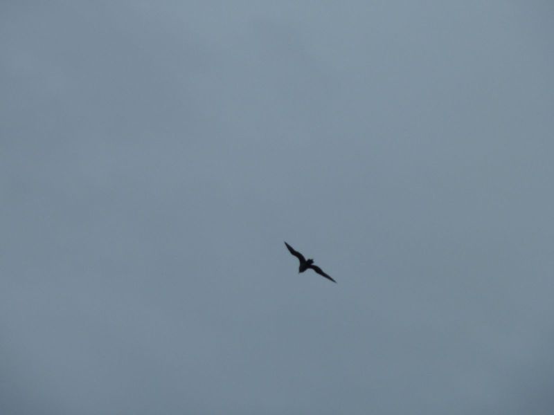 2010-08-30-1454_-_Kjove