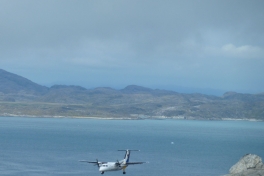2010-08-09-1331_-_Fly