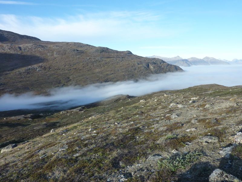 2010-09-04-0808_-_Terræn; Tåge