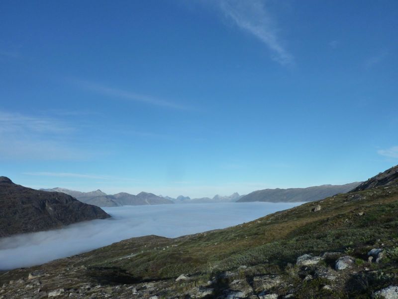 2010-09-04-0810_-_Terræn; Tåge