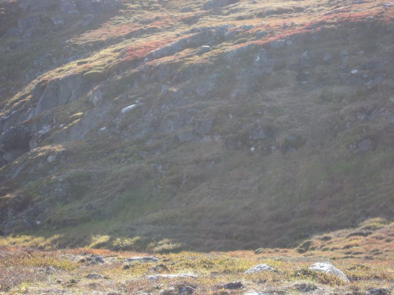 2010-09-04-0832_-_Terræn