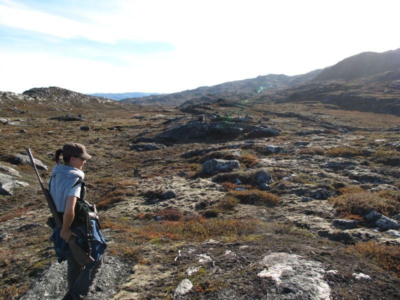 2010-09-04-0905_-_Nuka Klausen Telling; Terræn
