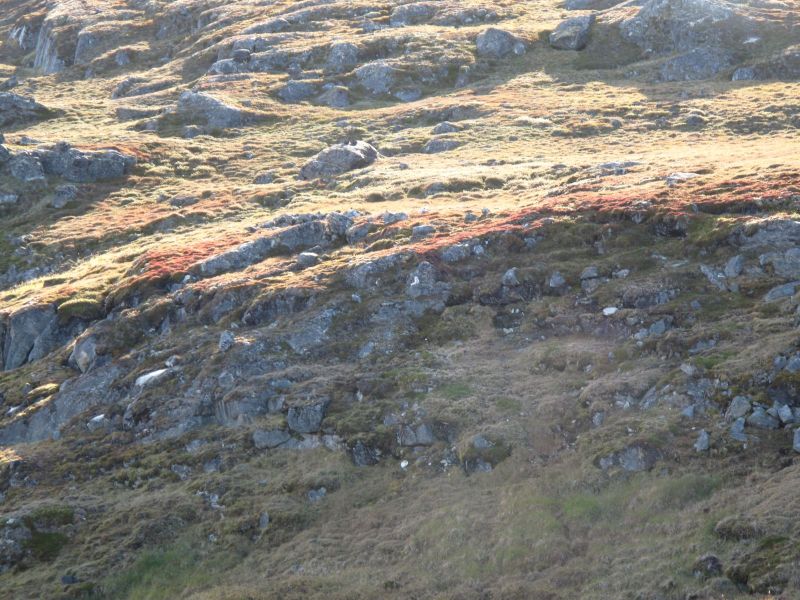 2010-09-04-0927_-_-_2