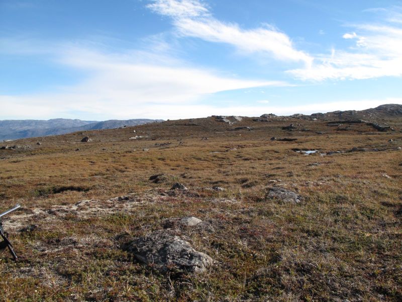 2010-09-04-0959_-_Rensdyr; Terræn