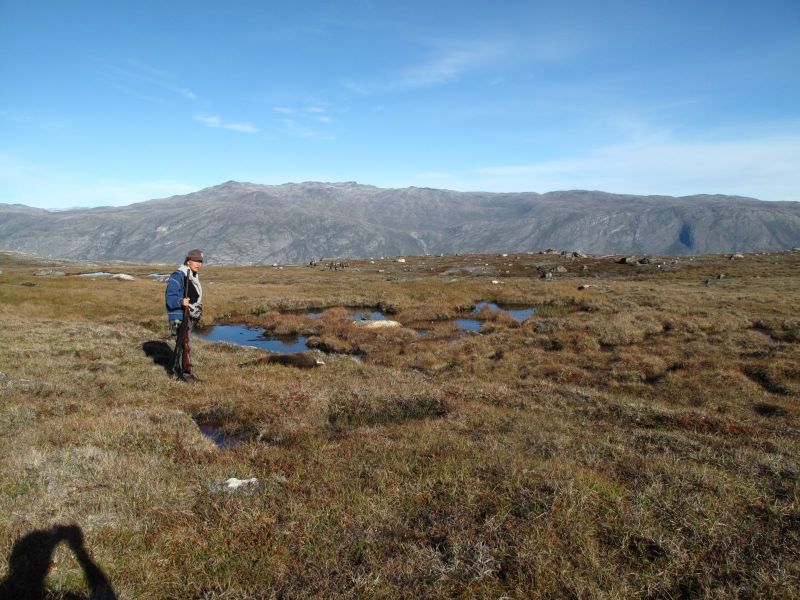 2010-09-04-1008_-_Nuka Klausen Telling; Rensdyr; Terræn