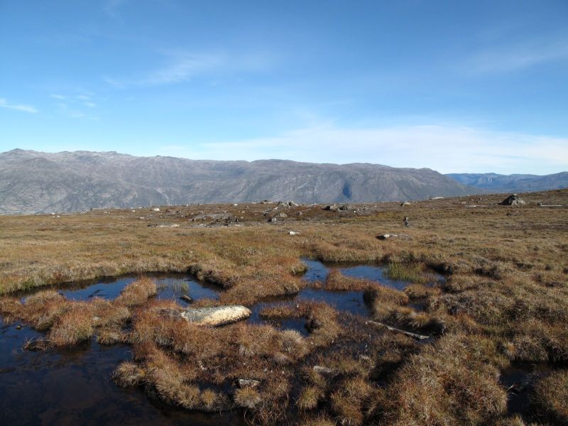 2010-09-04-1008_-_Rensdyr; Terræn
