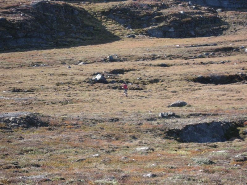 2010-09-04-1116_-_John Telling; Terræn