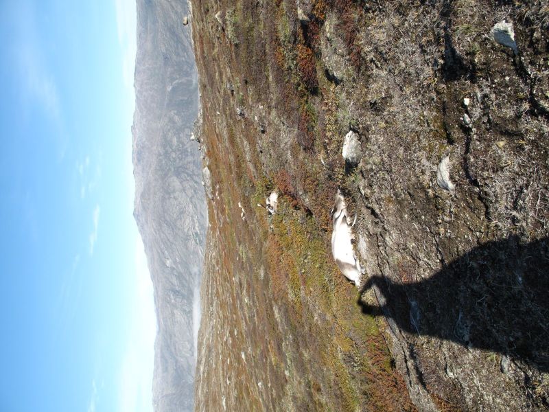 2010-09-04-1211_-_Rensdyr; Terræn