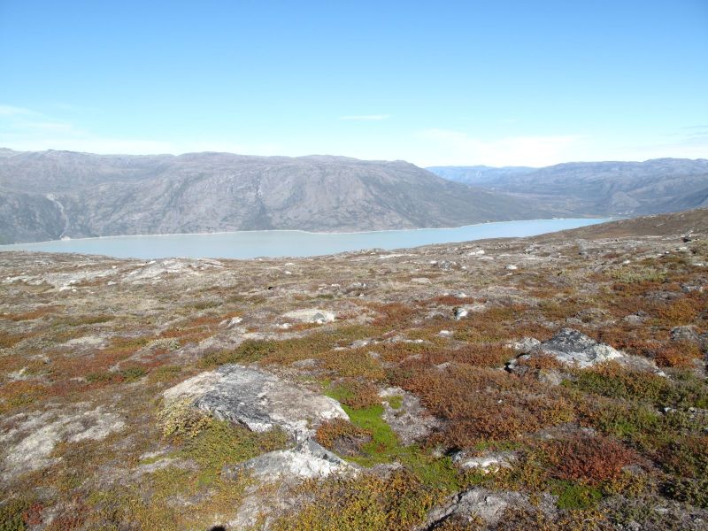 2010-09-04-1240_-_Overblik_01; Terræn_3