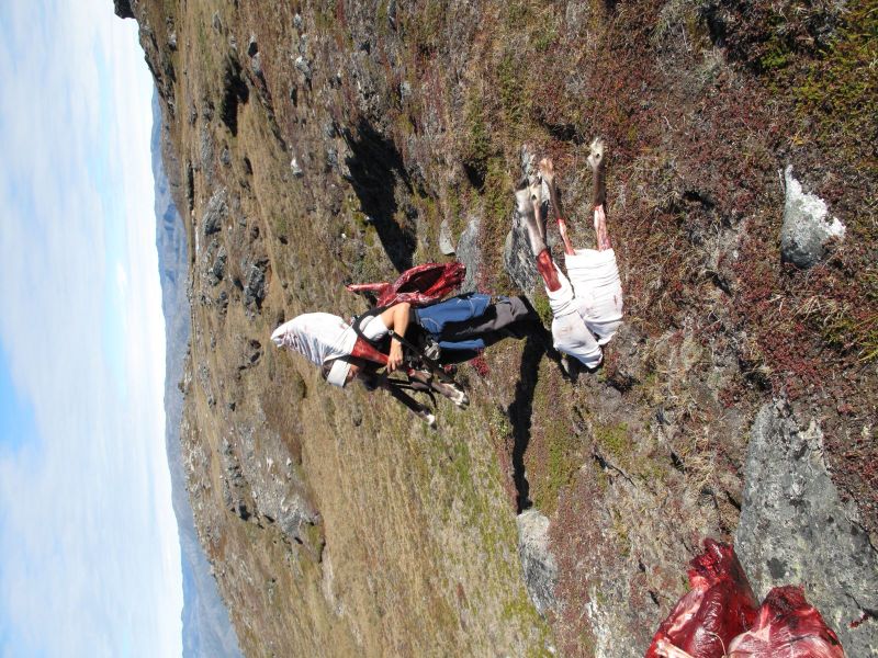 2010-09-04-1611_-_Bylt; Nuka Klausen Telling