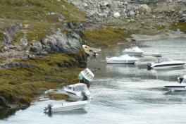 2010-09-10-1405_-_Båd