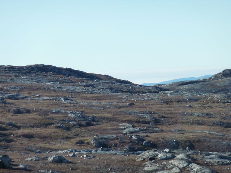 2010-09-18-1448_-_Terræn