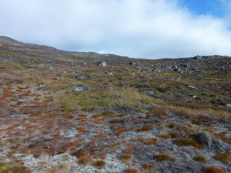 2010-09-19-1206_-_Terræn_2