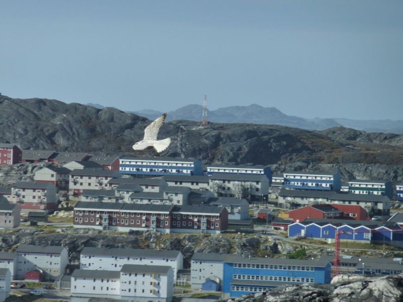 2010-09-23-1319_-_Falk_8