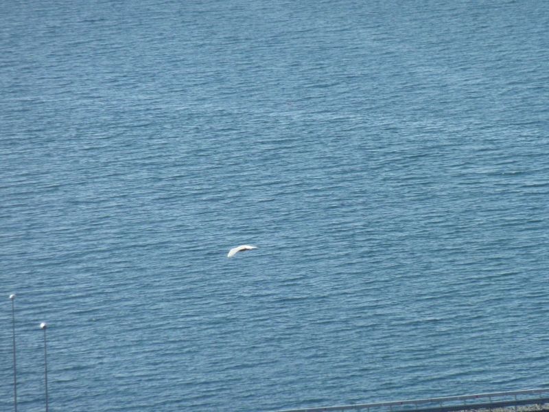2010-09-23-1323_-_-_2