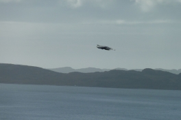 2010-09-23-1318_-_Falk