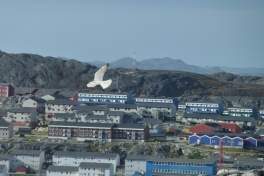 2010-09-23-1319_-_Falk_8