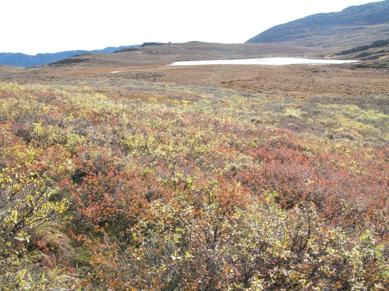 2010-09-25-1135_-_Terræn; Vegetation