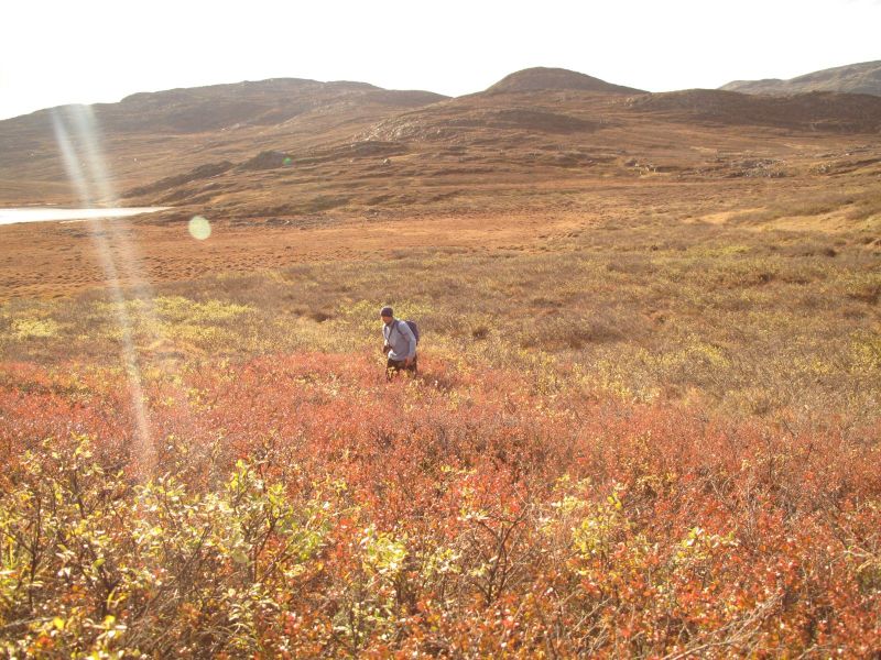 2010-09-25-1136_-_Jesper Eugenius Labansen; Terræn; Vegetation