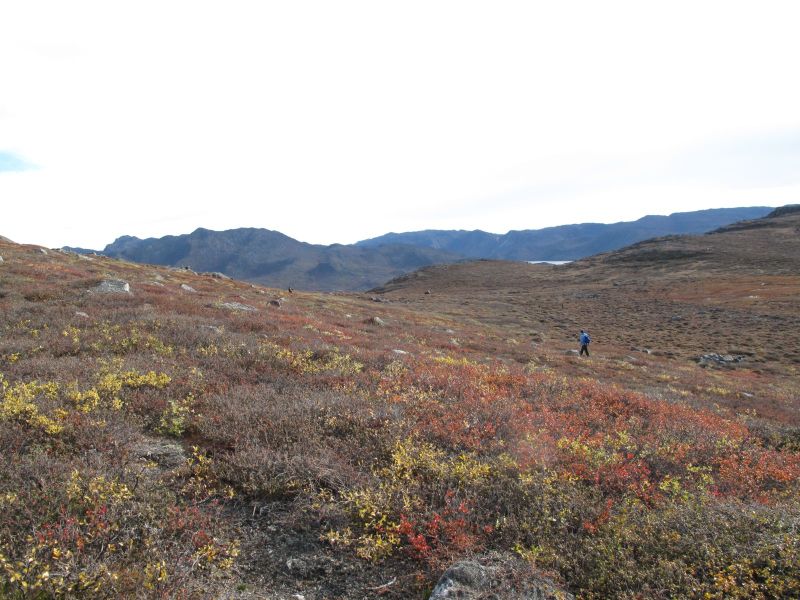 2010-09-25-1138_-_Terræn