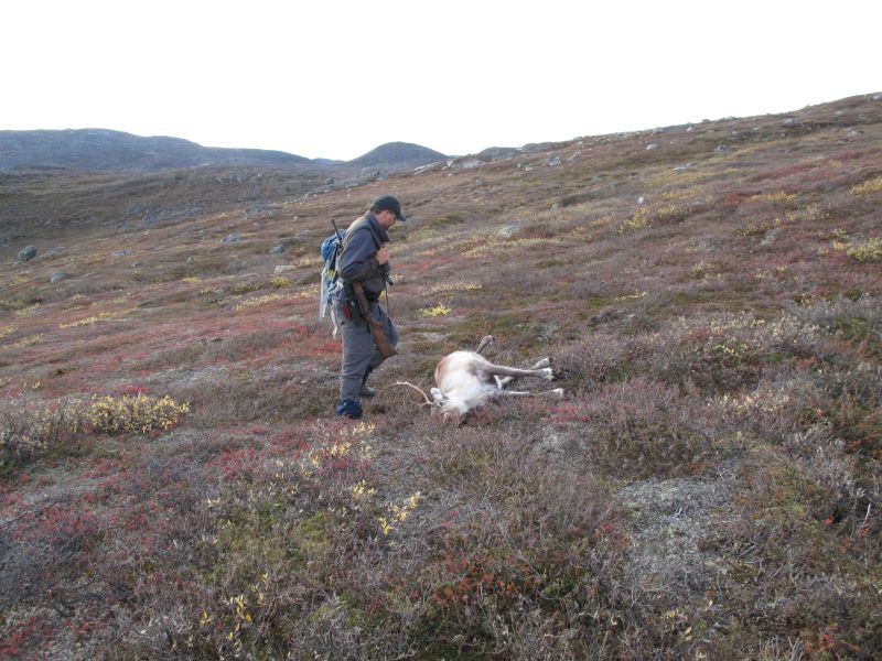 2010-09-25-1211_-_Rensdyr; Svend Sværd