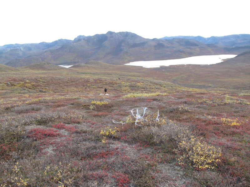 2010-09-25-1212_-_Terræn