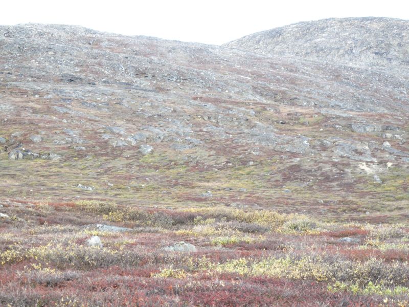 2010-09-25-1214_-_Terræn