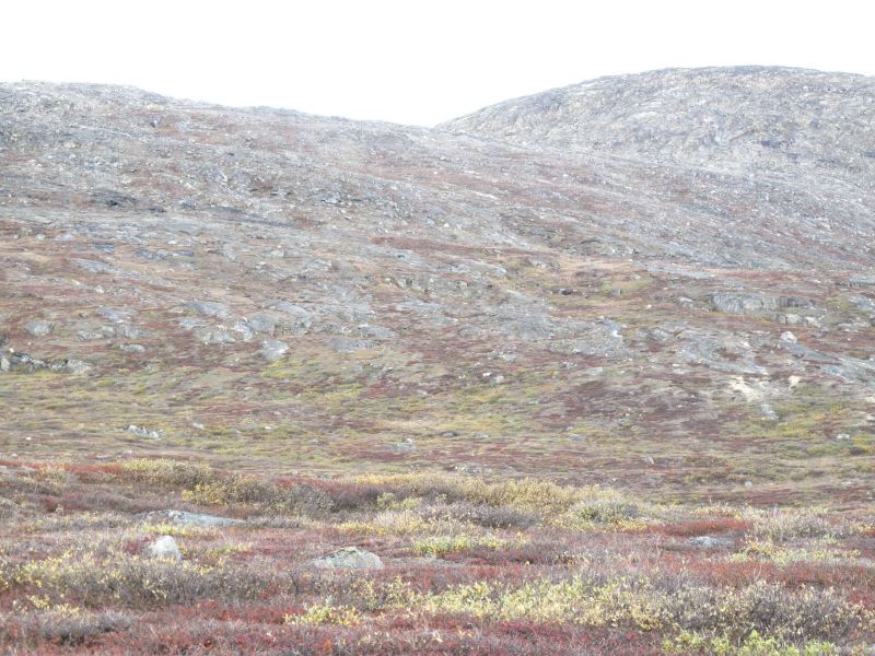 2010-09-25-1214_-_Terræn_2
