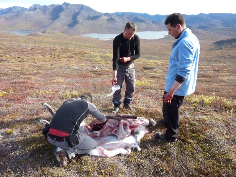 2010-09-25-1315_-_Jesper Eugenius Labansen; John Telling; Slagtning; Svend Sværd