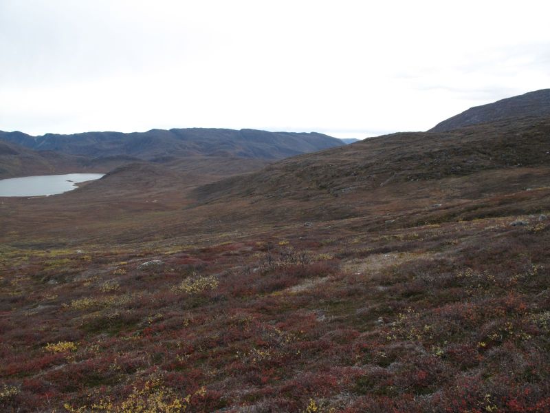 2010-09-25-1416_-_Terræn