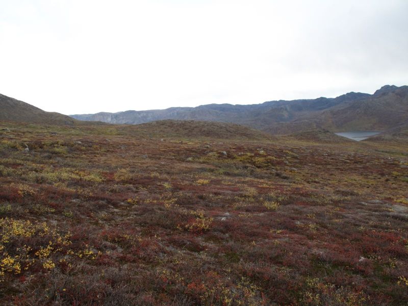 2010-09-25-1416_-_Terræn_4