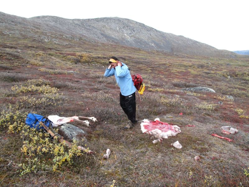 2010-09-25-1421_-_Bylt; Jesper Eugenius Labansen_2