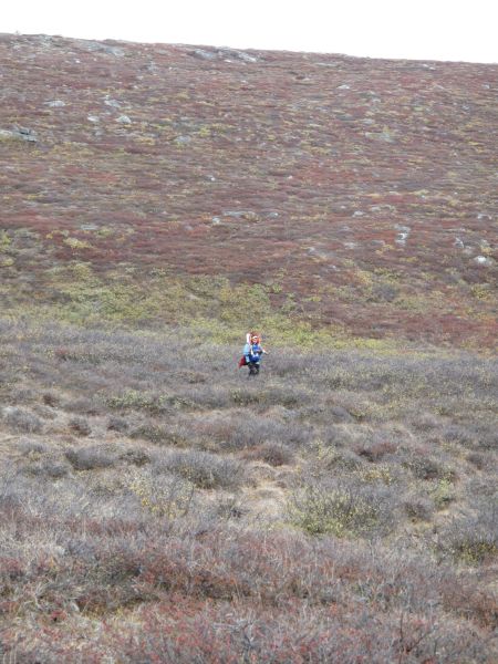 2010-09-25-1458_-_Bylt; Jesper Eugenius Labansen; Terræn