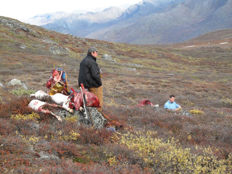2010-09-25-1523_-_Bylt; Jesper Eugenius Labansen; Søren Labansen; Terræn
