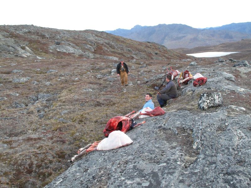 2010-09-25-1540_-_Bylt; Jesper Eugenius Labansen; Svend Sværd; Søren Labansen