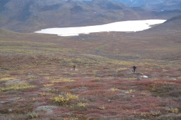 2010-09-25-1213_-_Terræn
