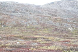 2010-09-25-1214_-_Terræn