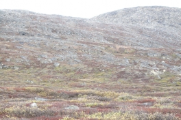 2010-09-25-1214_-_Terræn_2
