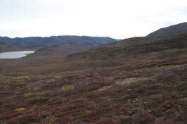 2010-09-25-1416_-_Terræn