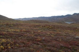 2010-09-25-1416_-_Terræn_4