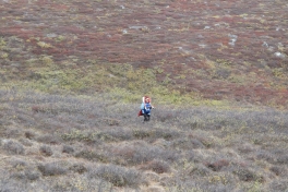2010-09-25-1458_-_Bylt; Jesper Eugenius Labansen; Terræn