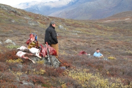 2010-09-25-1523_-_Bylt; Jesper Eugenius Labansen; Søren Labansen; Terræn