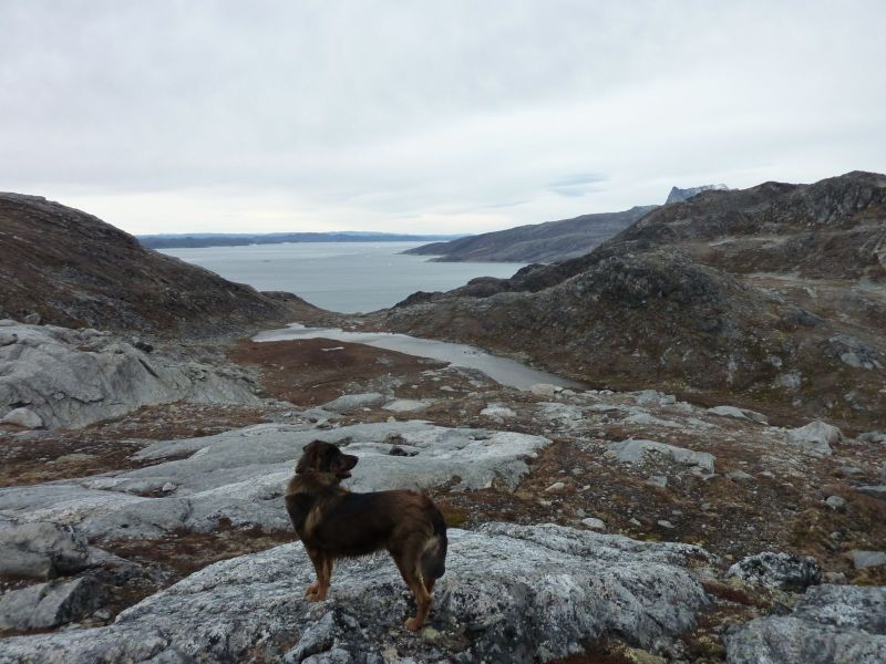 2010-10-10-1402_-_Djanco; Sermitsiaq