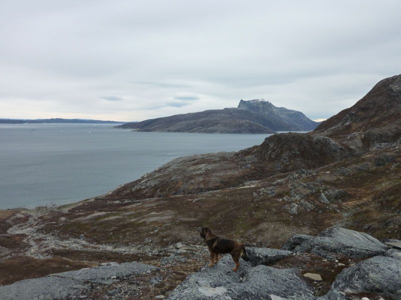 2010-10-10-1422_-_Djanco; Sermitsiaq